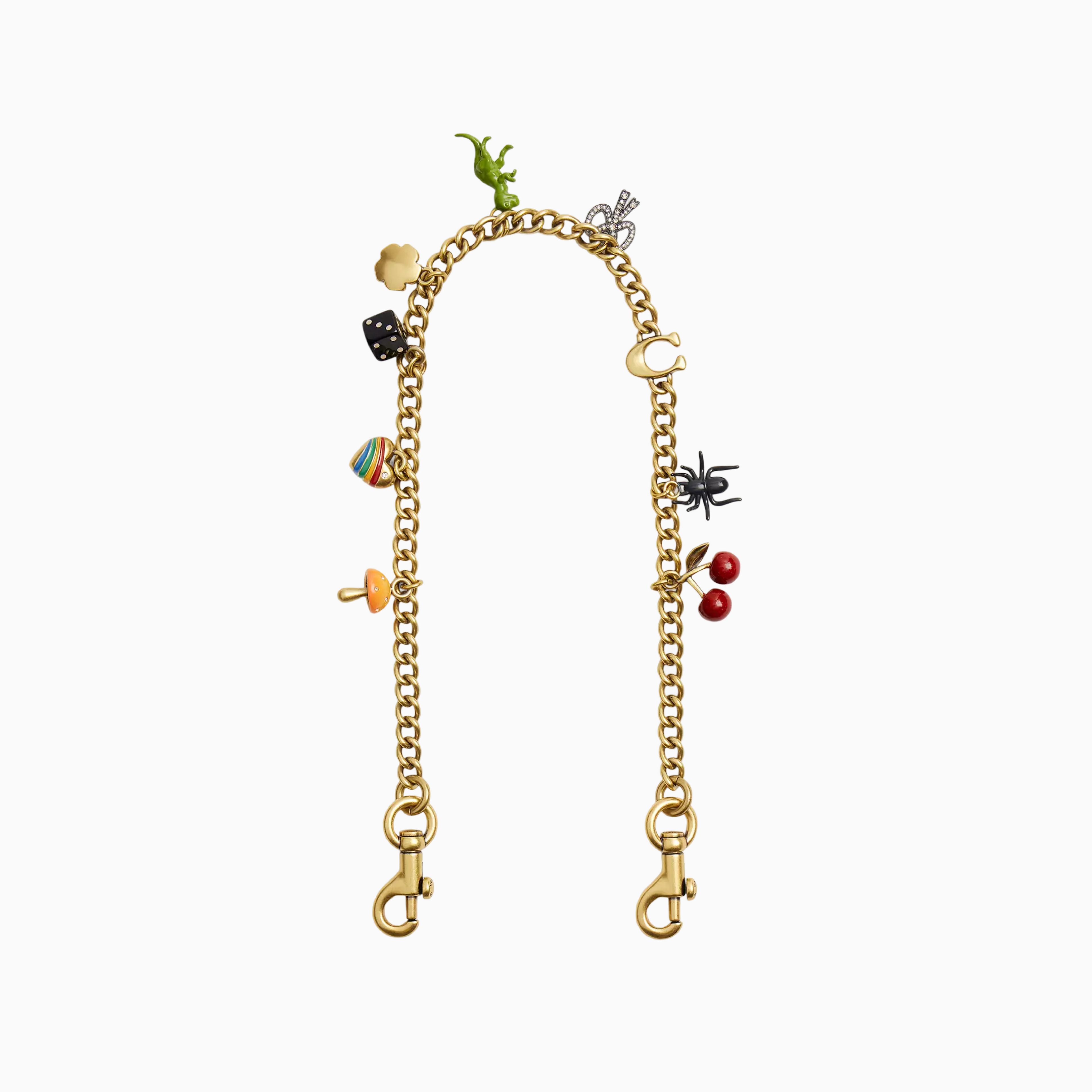 COACH® Chain Strap with Charms
